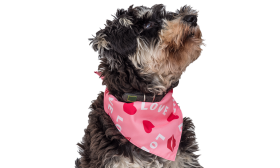 Bandana dla Psa z Nadrukiem Miłosnym Różowa chustka dla psa z napisem 'LOVE', czerwonymi sercami i ustami, idealna na Walentynki, wysokiej jakości bawełna.
