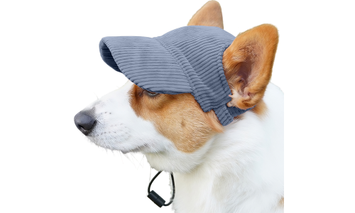 Corgi w oddychającym niebieskim sportowym kapeluszu dla psa, lekkim, chroniącym przed słońcem podczas letnich wyjść.