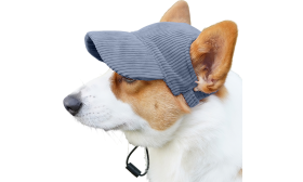 Oddychający Sportowy Kapelusz dla Psa na Lato Corgi w oddychającym niebieskim sportowym kapeluszu dla psa, lekkim, chroniącym przed słońcem podczas letnich wyjść.
