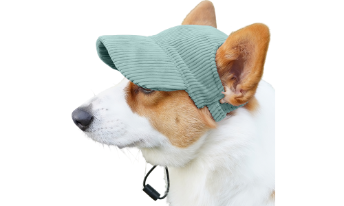 Corgi w oddychającym zielonym sportowym kapeluszu dla psa, lekkim, chroniącym przed słońcem podczas letnich wyjść.