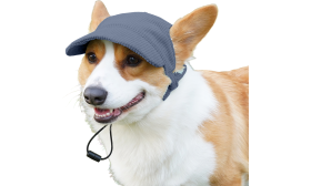 Oddychający Sportowy Kapelusz dla Psa na Lato Corgi w oddychającym niebieskim sportowym kapeluszu dla psa, modny, miękki, lekki materiał płócienny dla komfortu.