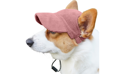 Corgi w oddychającym jasnoróżowym sportowym kapeluszu dla psa, lekkim, chroniącym przed słońcem podczas letnich wyjść.