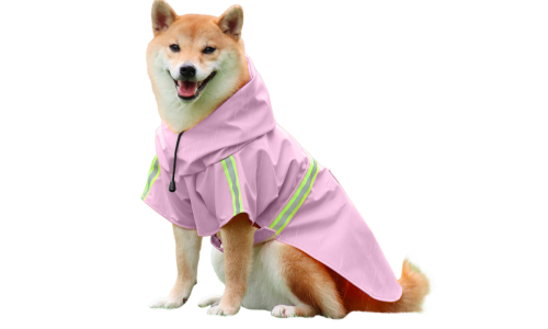 Shiba Inu w wodoodpornym różowym płaszczu przeciwdeszczowym z odblaskowymi paskami, łatwe paski do zakładania.
