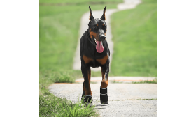 Buty Odblaskowe 360° dla Psa – Wodoodporne, Antypoślizgowe, Ochrona Łap Buty Odblaskowe 360° dla Psa – Wodoodporne, Antypoślizgowe, Ochrona Łap