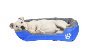Miękkie Legowisko dla Psa