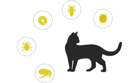Naturalna obroża przeciwko pchłom i kleszczom dla kota Naturalna obroża przeciw pchłom i kleszczom dla kotów, skierowana ochrona przed pchłami, kleszczami, larwami i komarami.