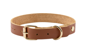 Wysokiej Jakości Skórzana Obroża dla Psa Luksusowa skórzana obroża dla psa w kolorze brązowym, długość 27-34 cm, szerokość 2,2 cm, z złotą klamrą i pierścieniem D.